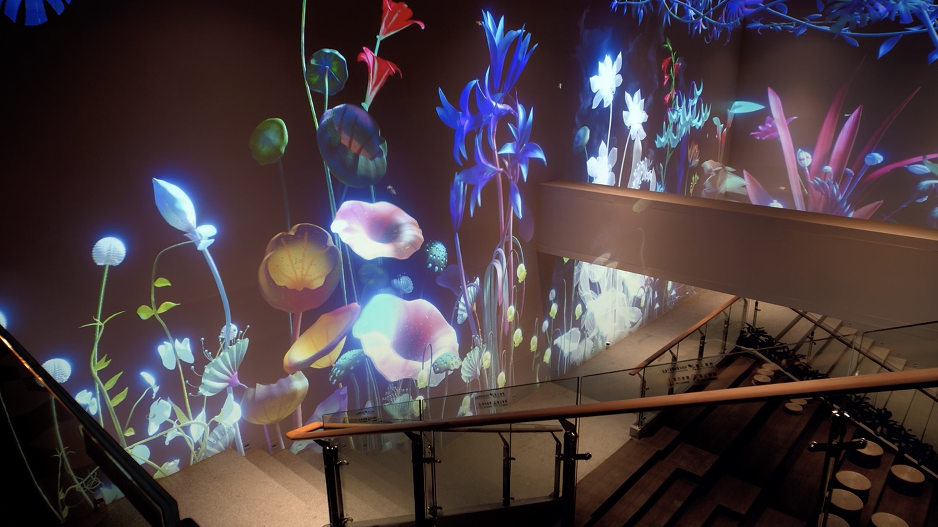 Quiet Garden丨Interactive Image Device