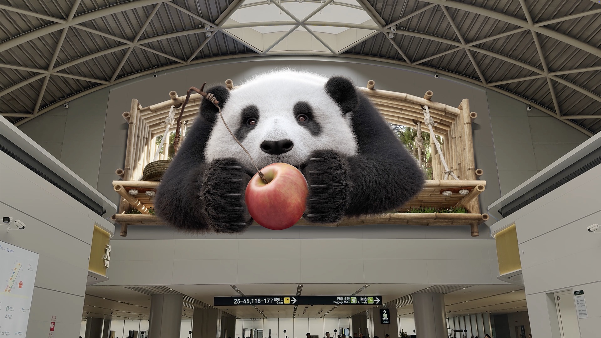 Chengdu Shuangliu Airport